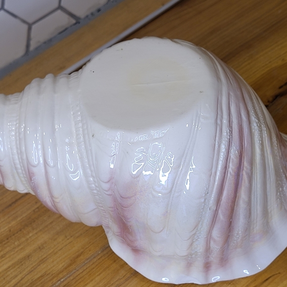Porcelain Sea Shell - Picture 5 of 6